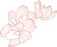 CytoStem Clínica Regenerativa Cancún