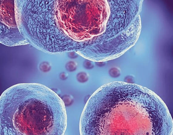 Stem Cell Facial Rejuvenation Benefits Cancun